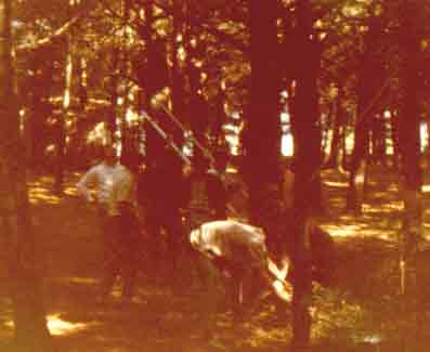 Incredibly 10 brothers toil to move a branch!